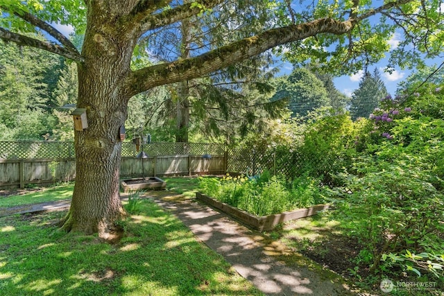 4628 109th Ave SE, Snohomish, WA 98290 - view of yard with a garden