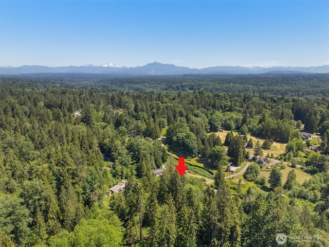 4628 109th Ave SE, Snohomish, WA 98290 - aerial overview of property's location featuring a heavily wooded area and a mountainous background