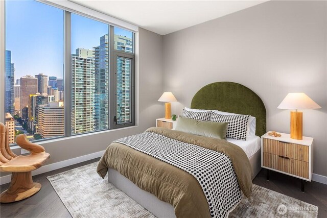 2510 6th Ave Unit 2802, Seattle, WA 98121 - bedroom with baseboards, wood finished floors, and a view of skyline