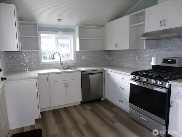 1707 258th Pl, Ocean Park, WA 98640 - kitchen with open shelves, appliances with stainless steel finishes, under cabinet range hood, and a sink