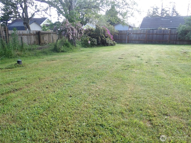 1707 258th Pl, Ocean Park, WA 98640 - view of yard