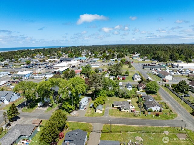 1707 258th Pl, Ocean Park, WA 98640 - aerial view of property's location featuring nearby suburban area