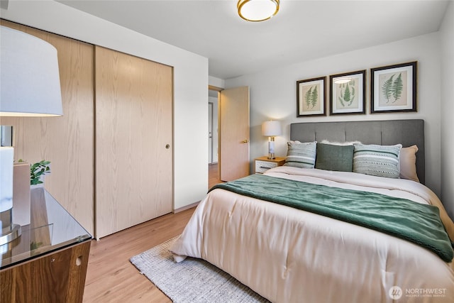 12056 15th Ave NE Unit 204, Seattle, WA 98125 - bedroom with a closet and light wood-style flooring