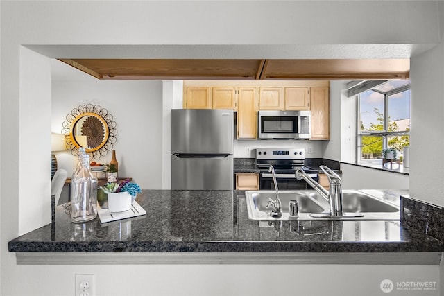 12056 15th Ave NE Unit 204, Seattle, WA 98125 - kitchen with appliances with stainless steel finishes, light brown cabinets, a sink, a peninsula, and dark countertops