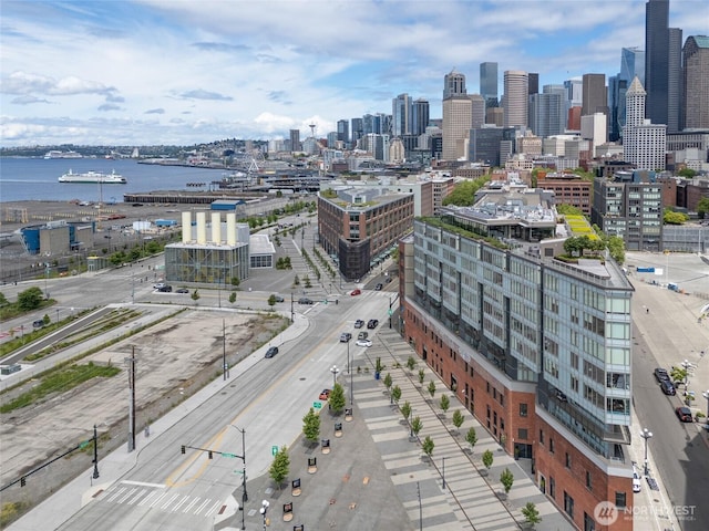 590 1st Ave S Unit 703, Seattle, WA 98104 - photo 28