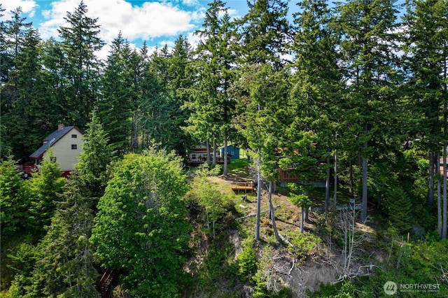 711 E Herron Blvd NW, Lakebay, WA 98349 - view of woods