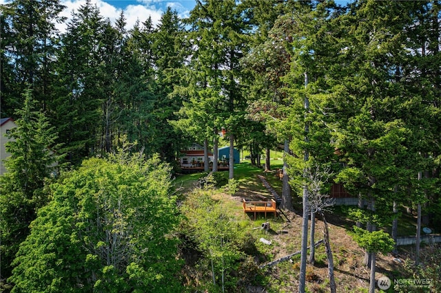 711 E Herron Blvd NW, Lakebay, WA 98349 - view of yard