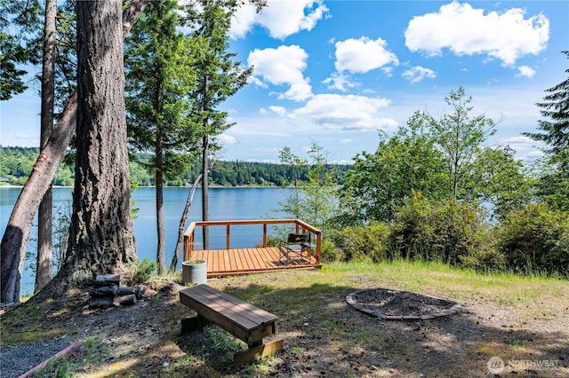711 E Herron Blvd NW, Lakebay, WA 98349 - view of yard with a water view and a view of trees
