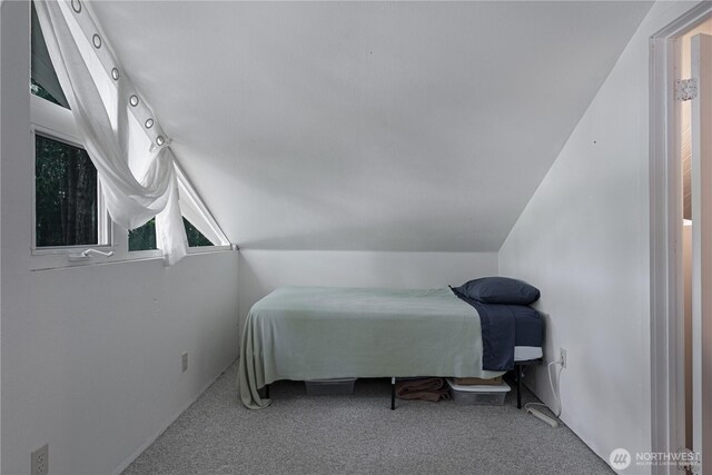 711 E Herron Blvd NW, Lakebay, WA 98349 - bedroom with carpet and vaulted ceiling
