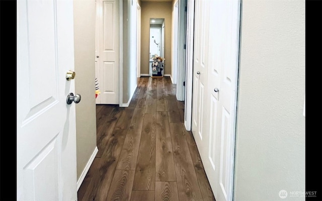 1009 112th St Unit D304, Everett, WA 98208 - corridor featuring dark wood-style floors and baseboards