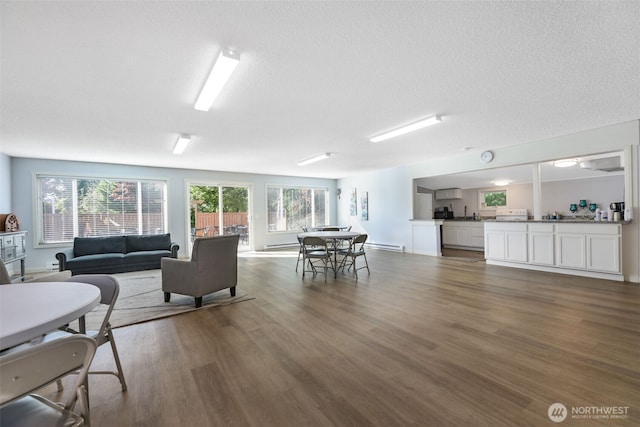 23708 Locust Way Unit 26B, Bothell, WA 98021 - living area featuring wood finished floors and baseboard heating