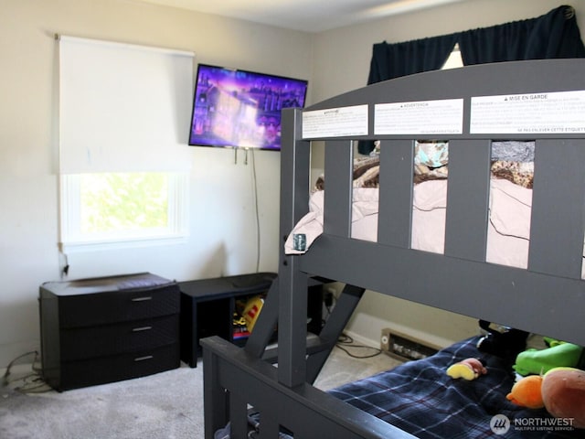 9020 Corbin Dr, Everett, WA 98204 - view of carpeted bedroom