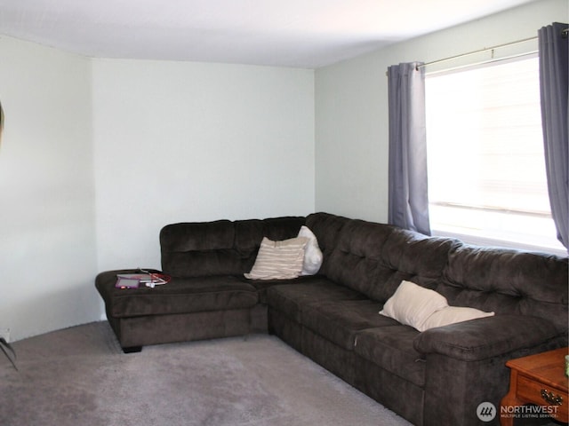9020 Corbin Dr, Everett, WA 98204 - living room with plenty of natural light and carpet floors