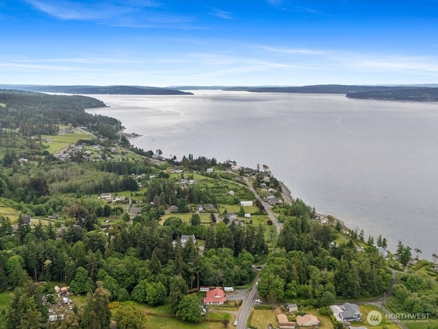 957 SW Camano Dr, Camano Island, WA 98282 - aerial view of property's location with a large body of water