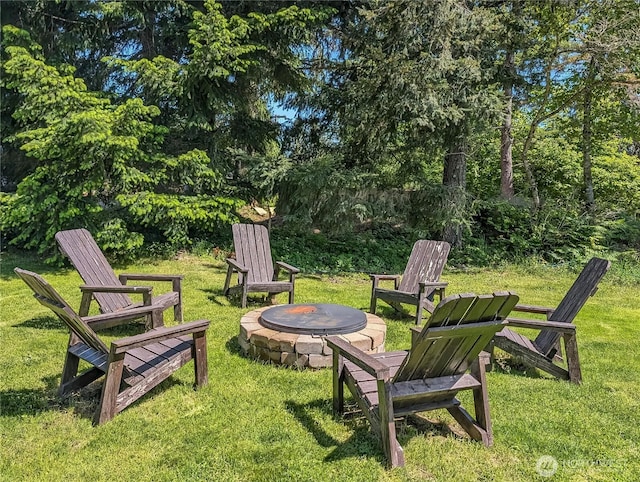 239 Alpine Dr, Packwood, WA 98361 - view of grassy yard with an outdoor fire pit