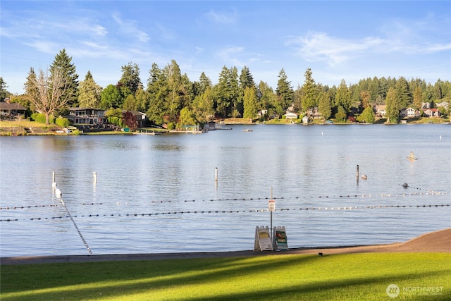 3535 Frances Dr SE, Olympia, WA 98503 - photo 36