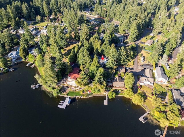 3535 Frances Dr SE, Olympia, WA 98503 - photo 35