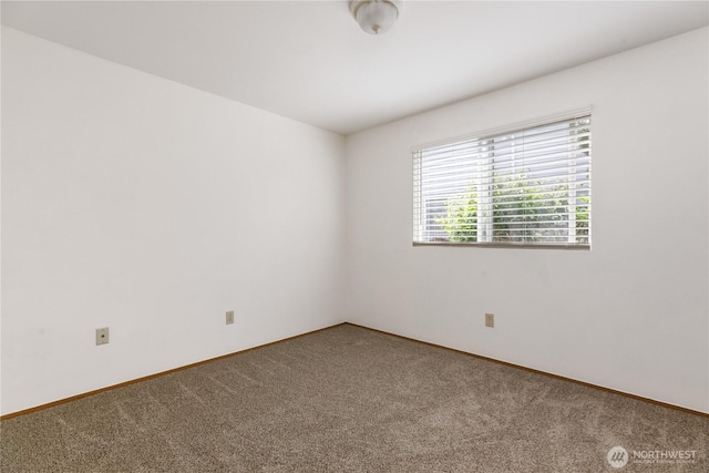 730 SE 8th Ave Unit B101, Oak Harbor, WA 98277 - empty room with carpet flooring and baseboards