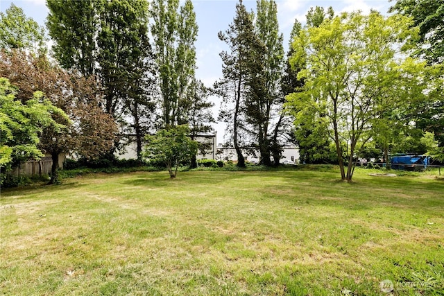 1020 SW Bowmer St, Oak Harbor, WA 98277 - view of yard
