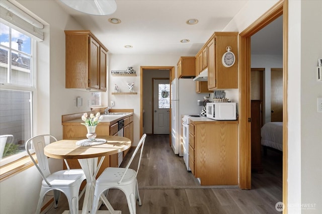 161 W Whidbey Ave Unit 26, Oak Harbor, WA 98277 - photo 4
