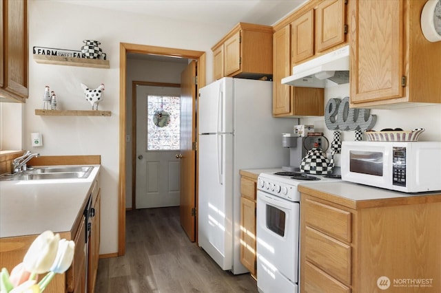 161 W Whidbey Ave Unit 26, Oak Harbor, WA 98277 - photo 7