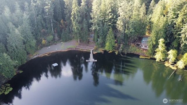 1546 Reservation Rd SE # 191, Olympia, WA 98513 - water view with a forest