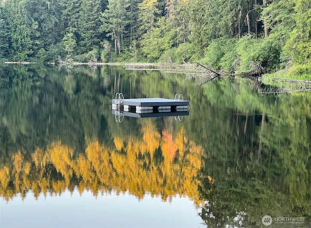 1546 Reservation Rd SE # 191, Olympia, WA 98513 - dock with a wooded view and a water view