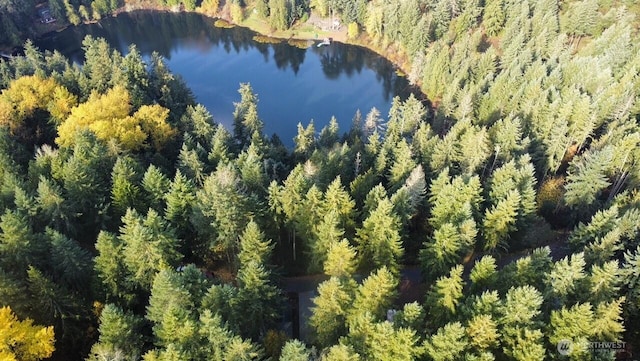 1546 Reservation Rd SE # 191, Olympia, WA 98513 - aerial view of a forest and a large body of water