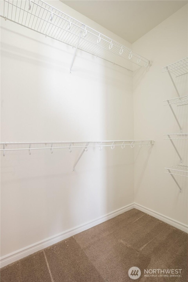 725 N 198th St, Shoreline, WA 98133 - walk in closet featuring carpet floors
