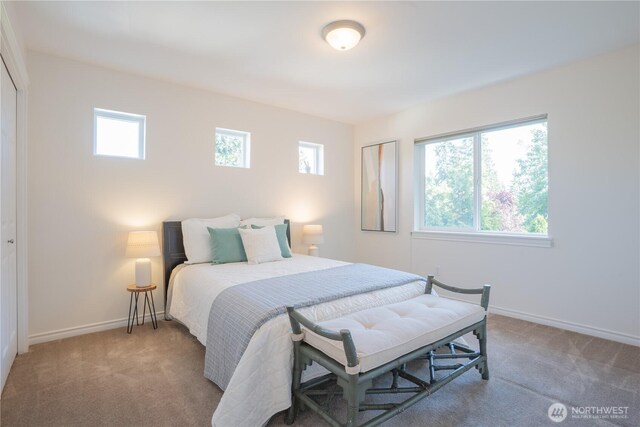 725 N 198th St, Shoreline, WA 98133 - bedroom featuring carpet flooring and baseboards