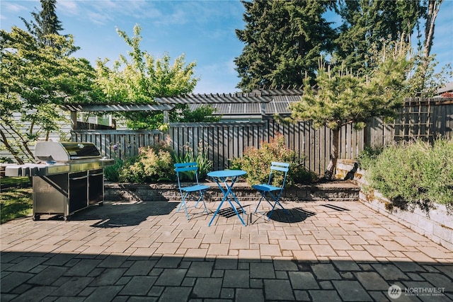 9202 3rd Ave NW, Seattle, WA 98117 - view of patio / terrace with a pergola and area for grilling