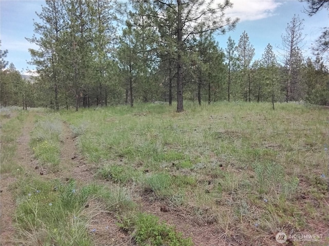 0 Cape Labelle Rd, Tonasket, WA 98855
