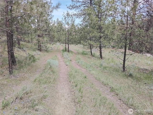 0 Cape Labelle Rd, Tonasket, WA 98855