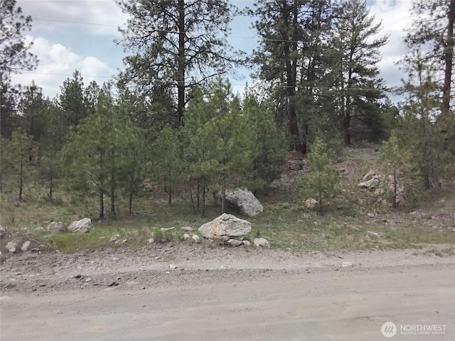 0 Cape Labelle Rd, Tonasket, WA 98855