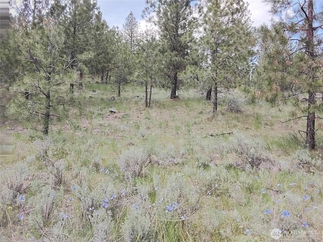 0 Cape Labelle Rd, Tonasket, WA 98855