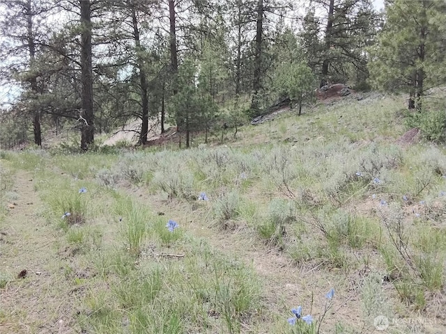 0 Cape Labelle Rd, Tonasket, WA 98855