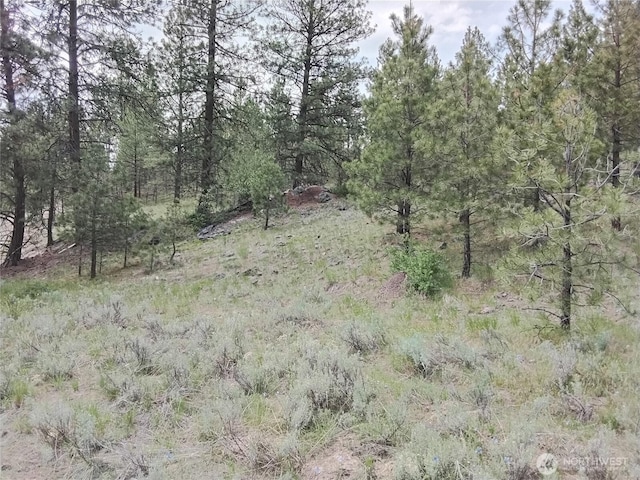 0 Cape Labelle Rd, Tonasket, WA 98855