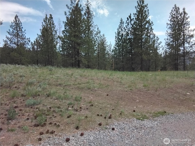 0 Cape Labelle Rd, Tonasket, WA 98855