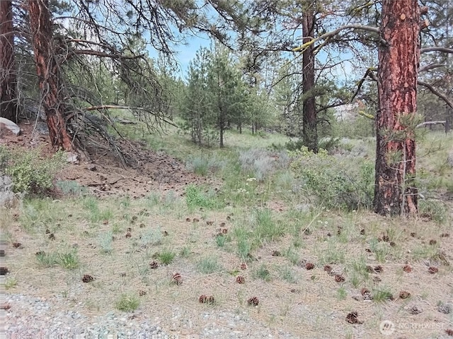 0 Cape Labelle Rd, Tonasket, WA 98855