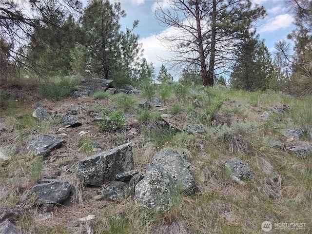 0 Cape Labelle Rd, Tonasket, WA 98855