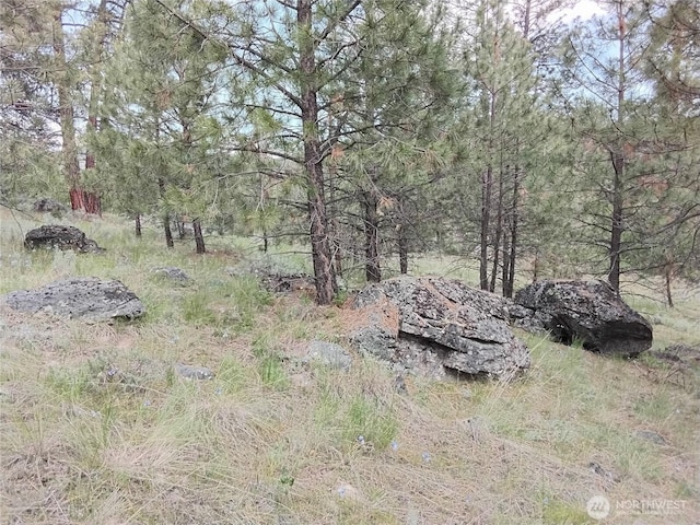 0 Cape Labelle Rd, Tonasket, WA 98855