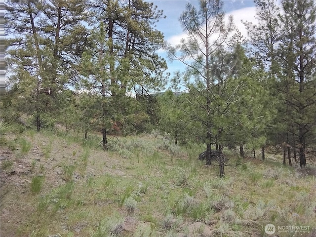 0 Cape Labelle Rd, Tonasket, WA 98855