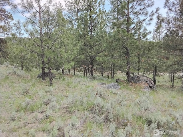 0 Cape Labelle Rd, Tonasket, WA 98855