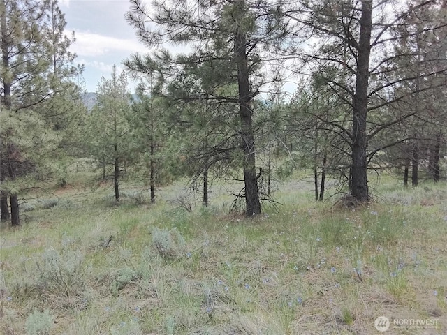 0 Cape Labelle Rd, Tonasket, WA 98855