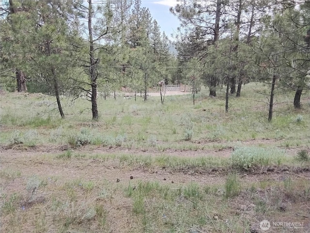 0 Cape Labelle Rd, Tonasket, WA 98855