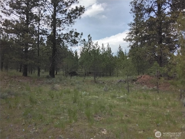 0 Cape Labelle Rd, Tonasket, WA 98855