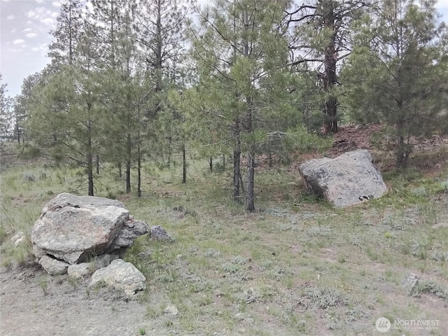 0 Cape Labelle Rd, Tonasket, WA 98855
