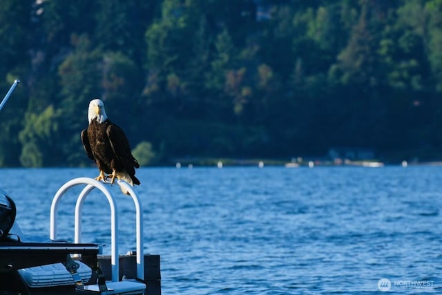 8620 N Mercer Way, Mercer Island, WA 98040 - water view