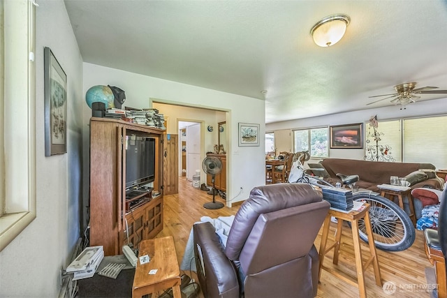 1200 S Yew St, Centralia, WA 98531 - photo 6