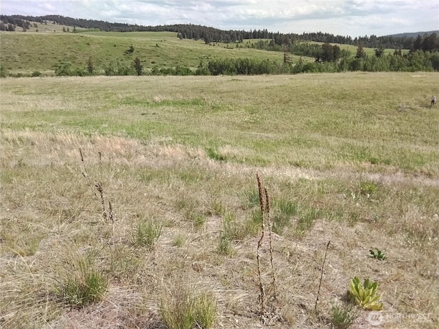 1129 Chesaw Rd, Oroville, WA 98844 - photo 17